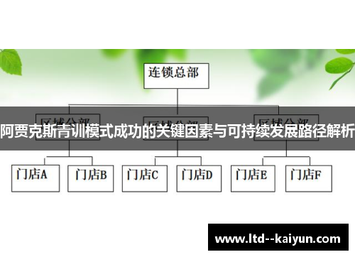 阿贾克斯青训模式成功的关键因素与可持续发展路径解析